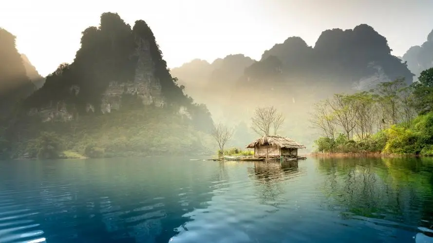 科技全自动独特